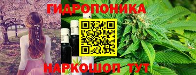 сатива Можга
