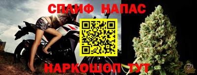 сатива Можга