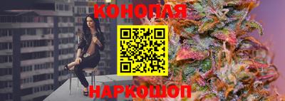 сатива Можга
