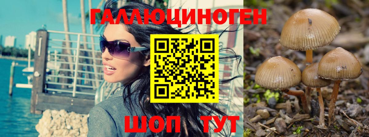 Псилоцибиновые грибы прущие грибы  Галлюциногенные грибы прущие грибы  Чайковский  Вход с VPN 
